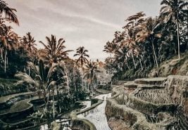 Instagrammable Places in Bali 13
